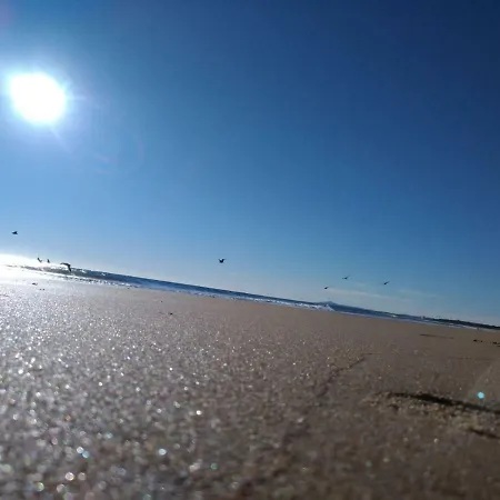 Sol E Mar *